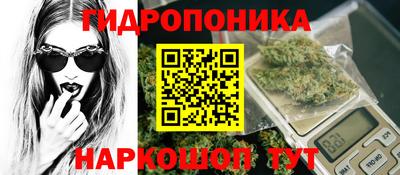 скорость Кимры
