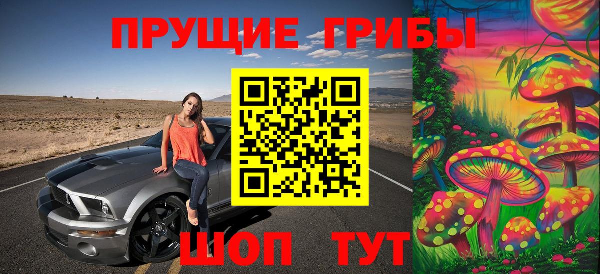 наркота  Вход с VPN  Канск  Псилоцибиновые грибы Cubensis 