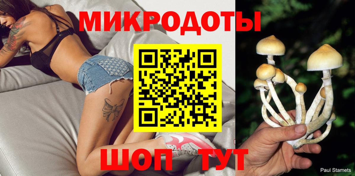Галлюциногенные грибы прущие грибы Канск