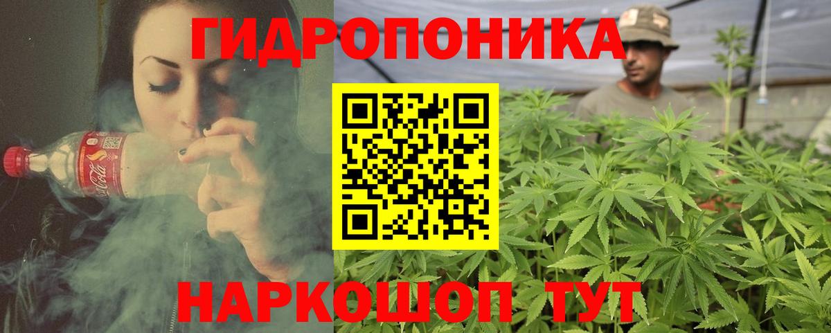 Бошки Шишки марихуана  Вход с VPN  Канск  Конопля планчик  Марихуана SATIVA & INDICA 